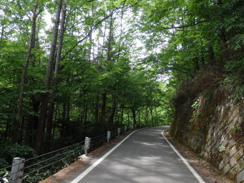 b0334084_21562352.jpg