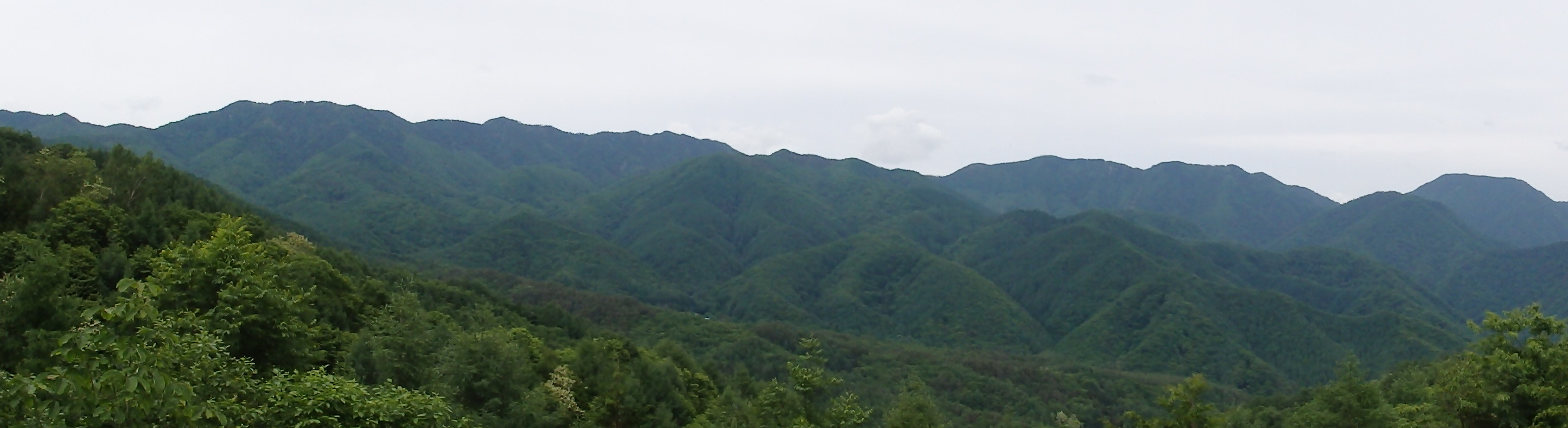 b0334084_21563901.jpg