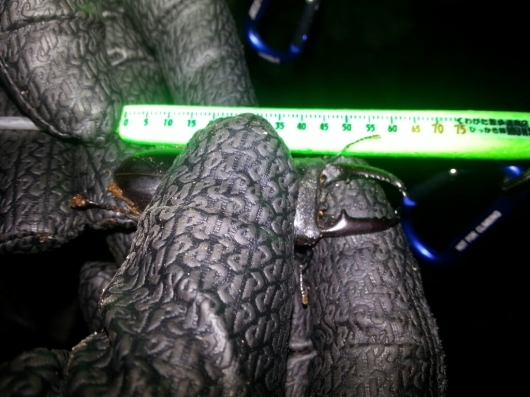 f0183484_06360523.jpg