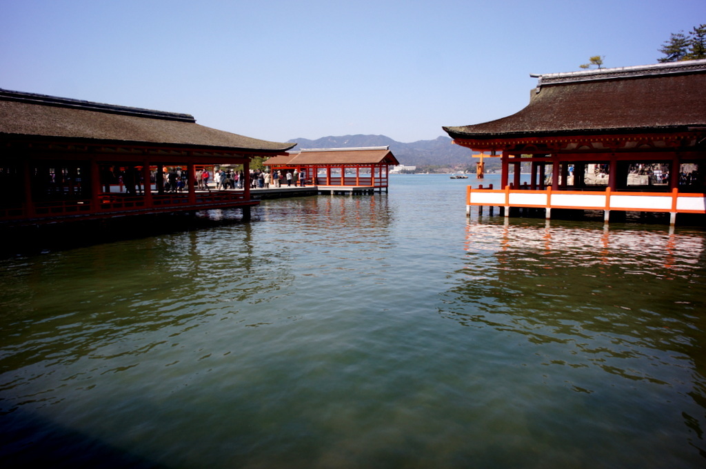 c0180686_22471639.jpg