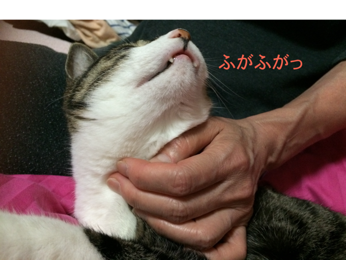 f0305995_22562998.png