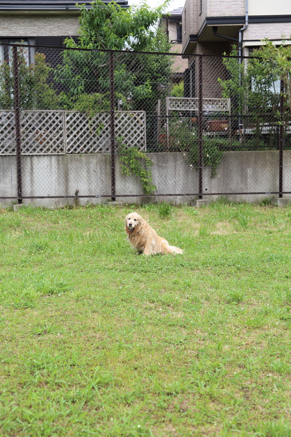 b0275998_1155083.jpg