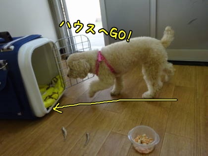 a0338800_13494416.jpg