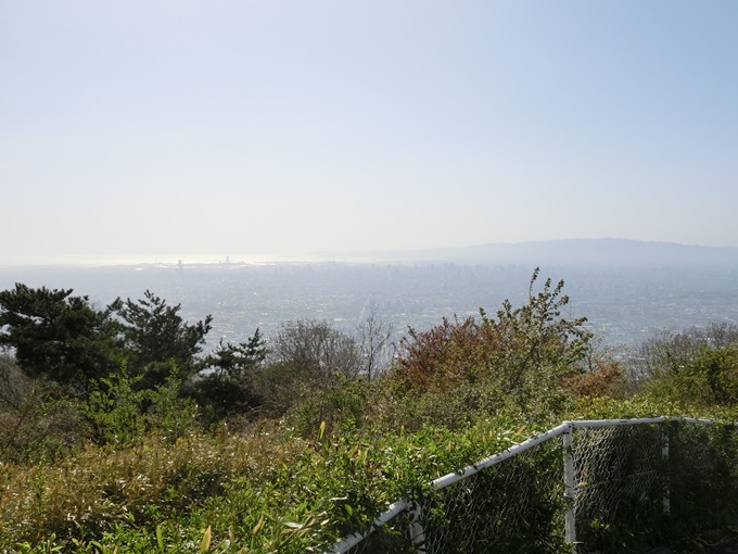 d0004301_23551751.jpg