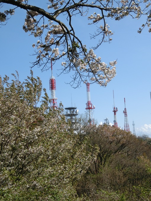 d0004301_2356197.jpg