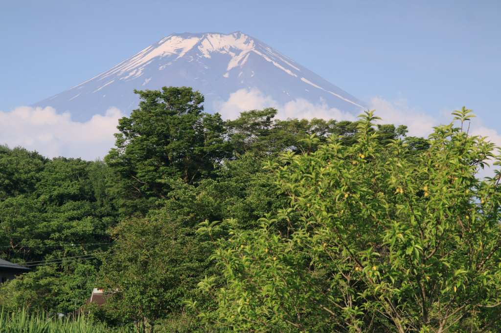 a0188405_17420259.jpg