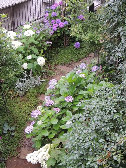 f0150620_23513276.jpg