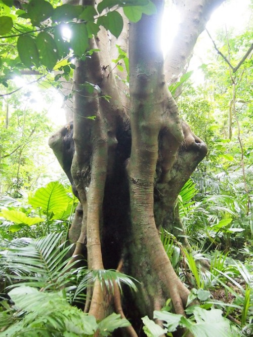 c0103830_17381493.jpg