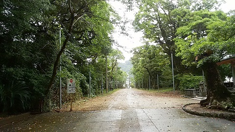 e0203037_14582278.jpg