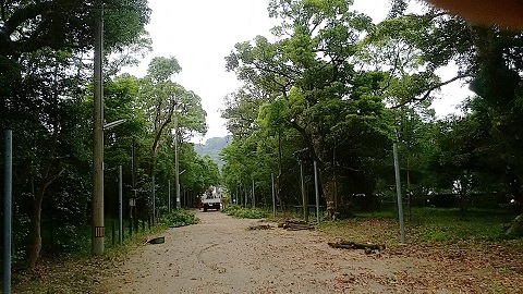 e0203037_151017.jpg