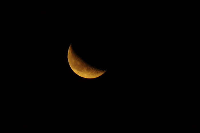 b0247838_924562.jpg