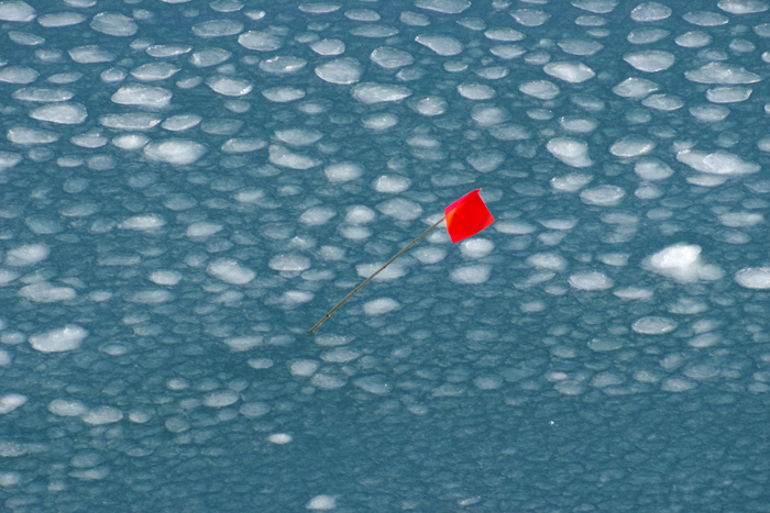 b0247838_9262394.jpg