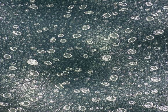 b0247838_926886.jpg