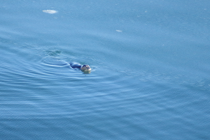 b0247838_9275019.jpg