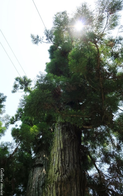 f0351853_21473227.jpg