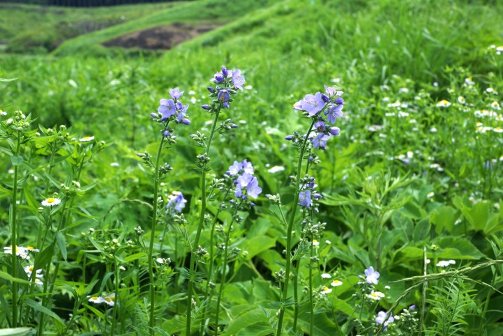 c0248473_20472741.jpg