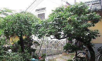 f0003283_19444023.jpg