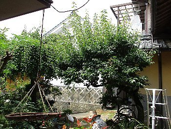 f0003283_19451089.jpg
