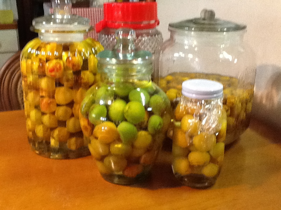 b0330288_16325633.jpeg