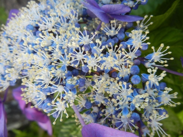 c0361298_21301637.jpg