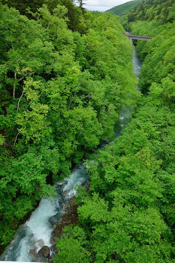 d0288500_22025340.jpg
