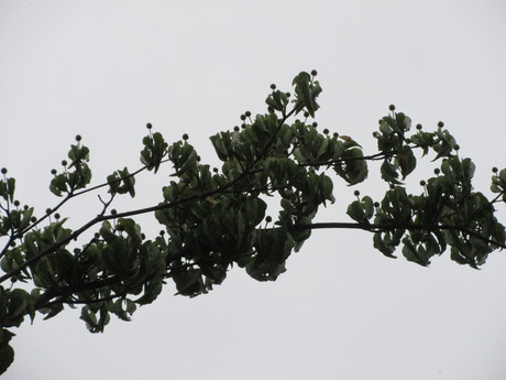 a0203003_2023465.jpg
