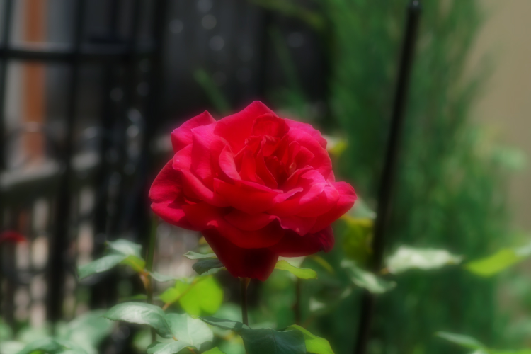 a0263109_9593188.jpg