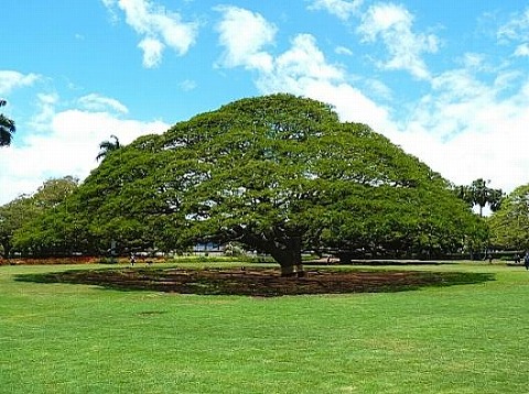e0187110_16362797.jpg