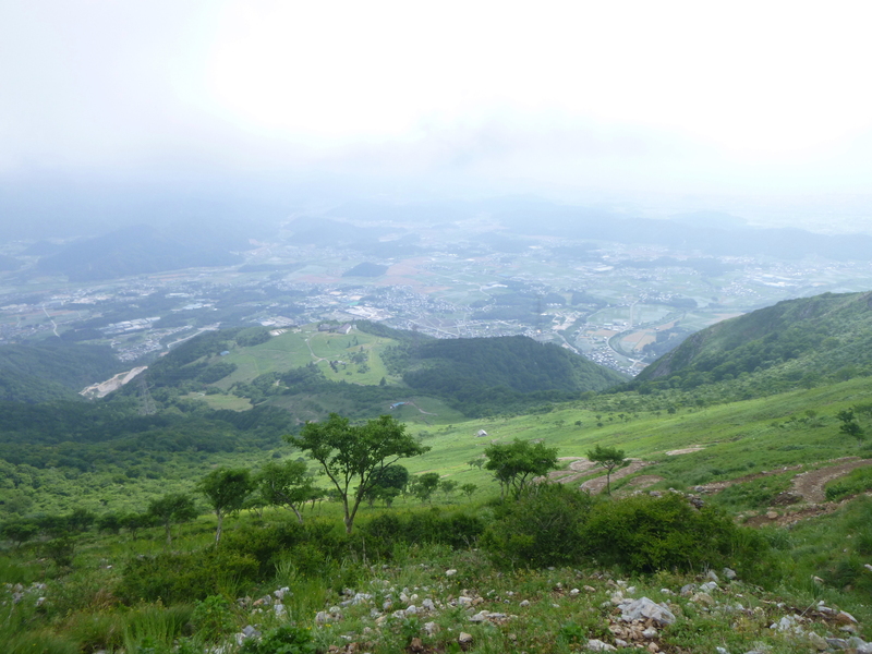 d0170615_15552410.jpg