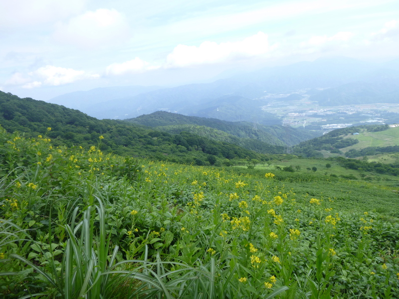d0170615_15554653.jpg