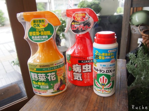 c0103830_173776.jpg