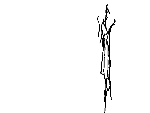 f0364230_147116.png