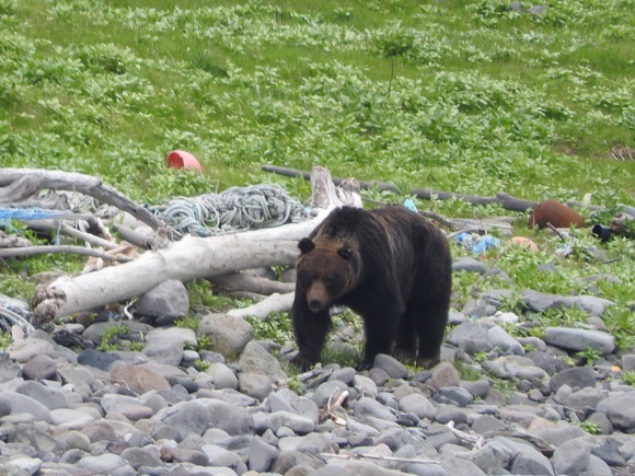 f0118332_0404630.jpg