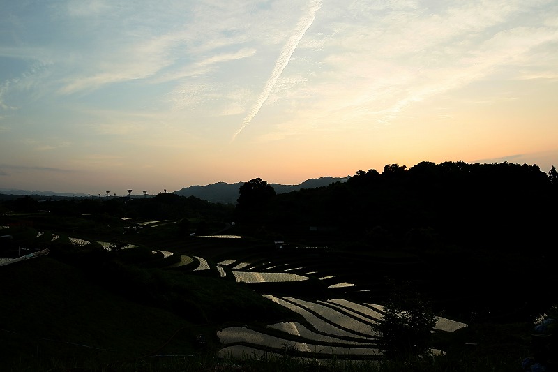 d0313140_19411746.jpg