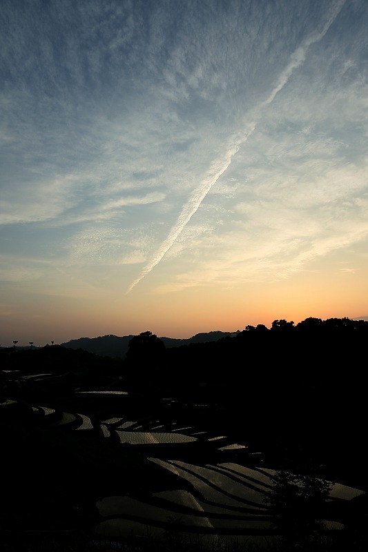 d0313140_19431515.jpg