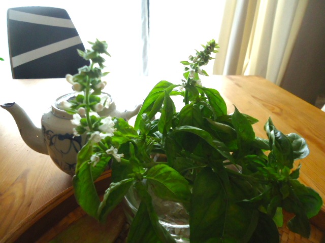 f0283255_11532175.jpg
