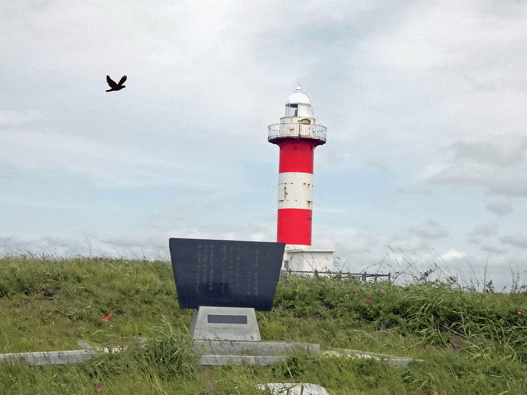 a0193457_19105266.gif