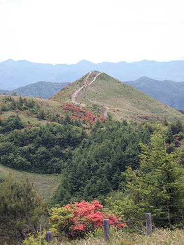 c0011862_2340940.jpg