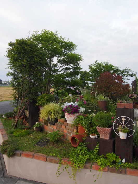 b0194267_183831.jpg
