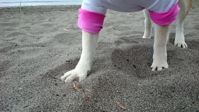 b0274270_13411697.jpg