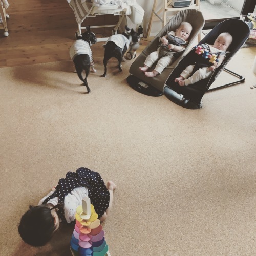d0041575_21591942.jpeg
