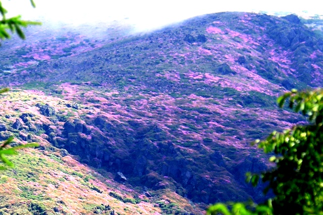 d0126577_23254765.jpg