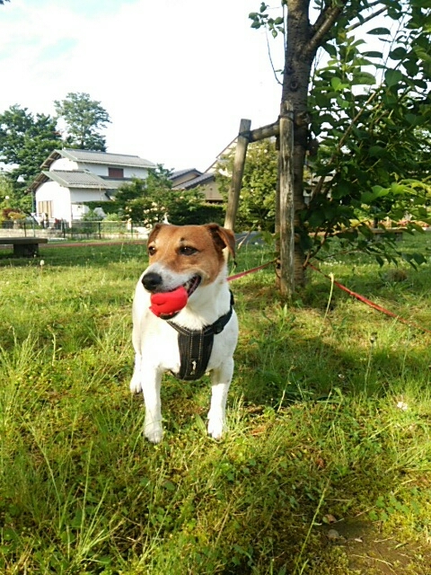 c0214384_17340077.jpg
