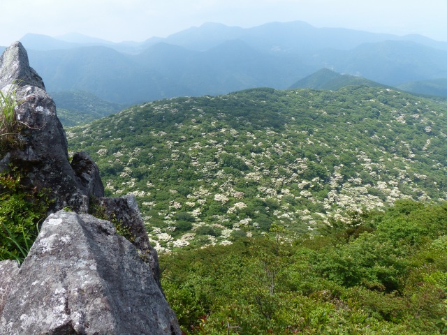 f0357487_17103665.jpg