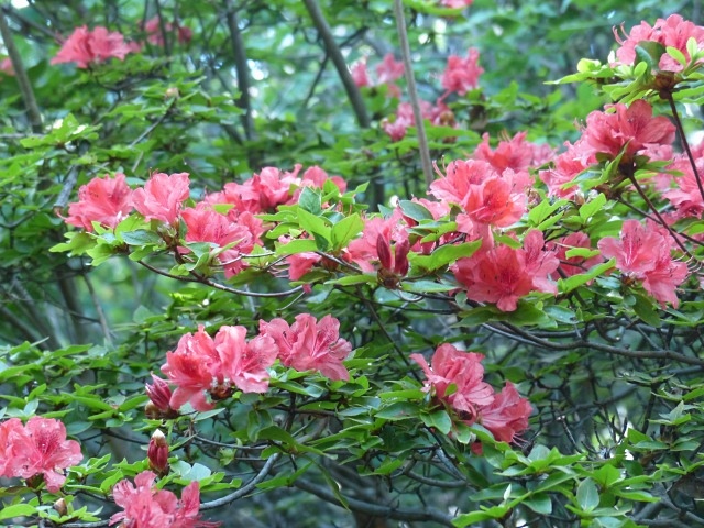 f0357487_1733080.jpg