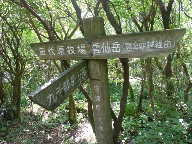 f0357487_1785630.jpg