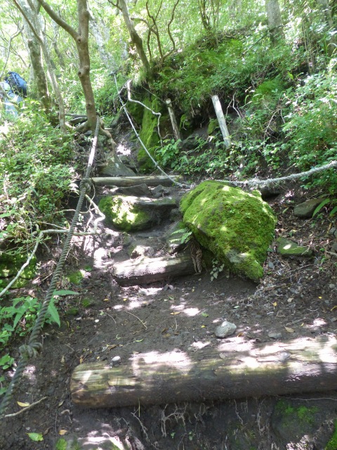 f0357487_1792451.jpg