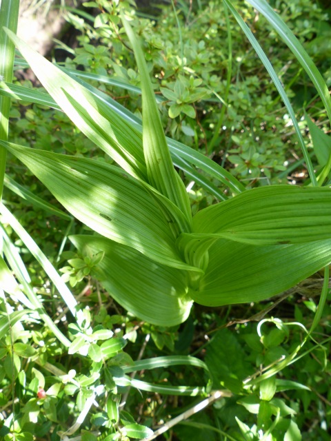 f0357487_20424571.jpg