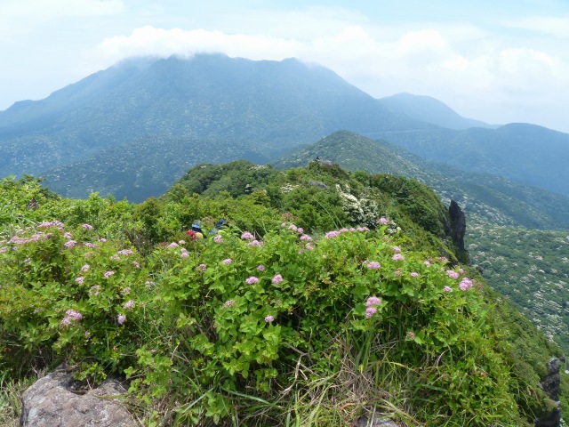 f0357487_20523169.jpg