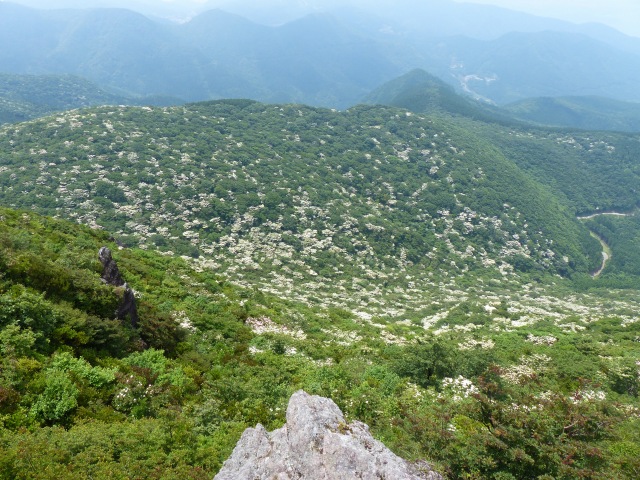 f0357487_20532687.jpg